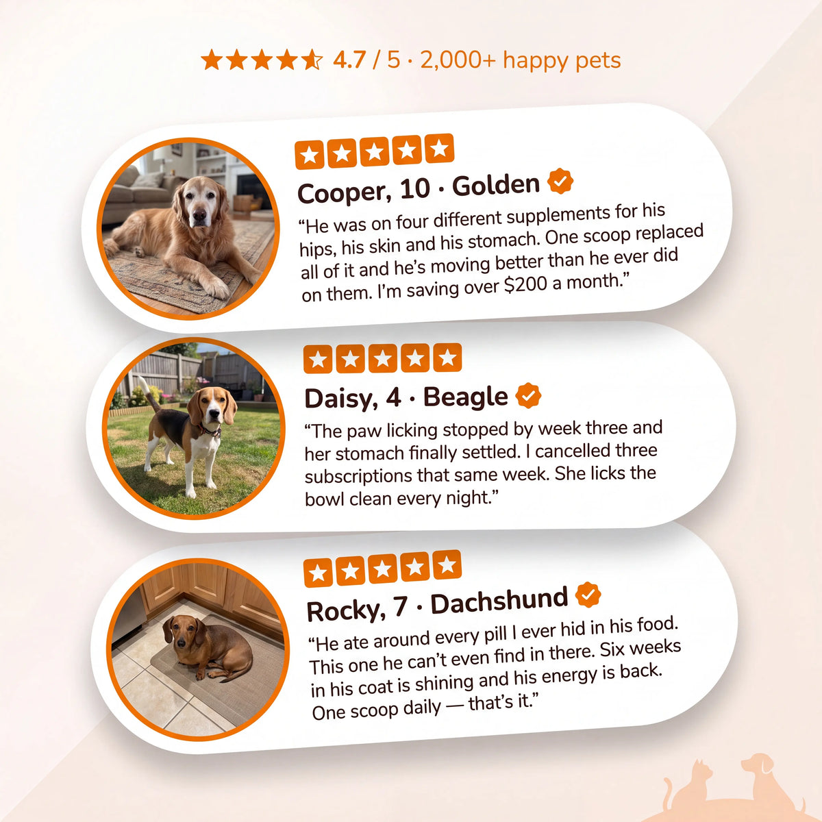 PawBright Vitality+