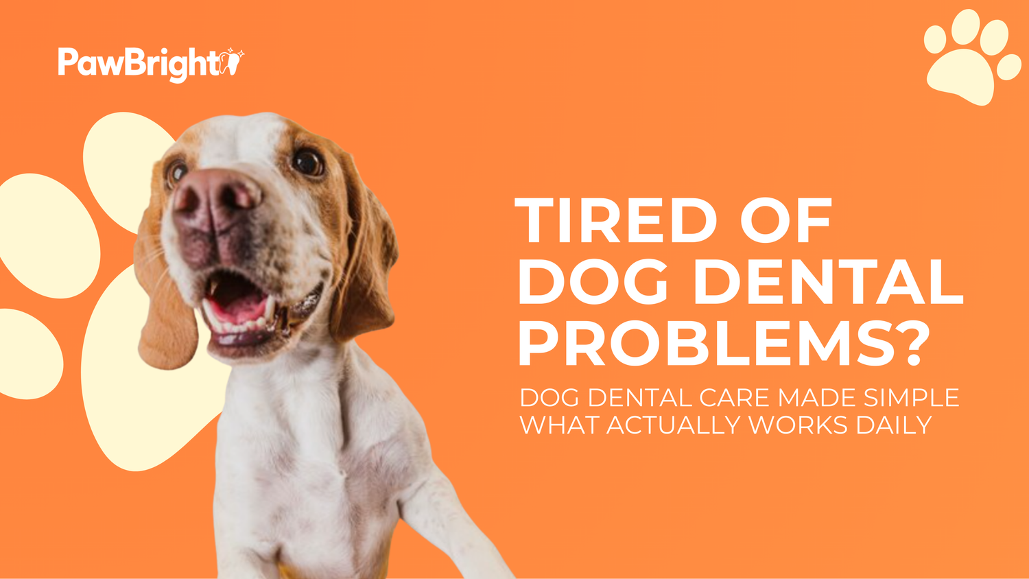 Daily Dog Dental Care: A Simple Routine That Actually Works