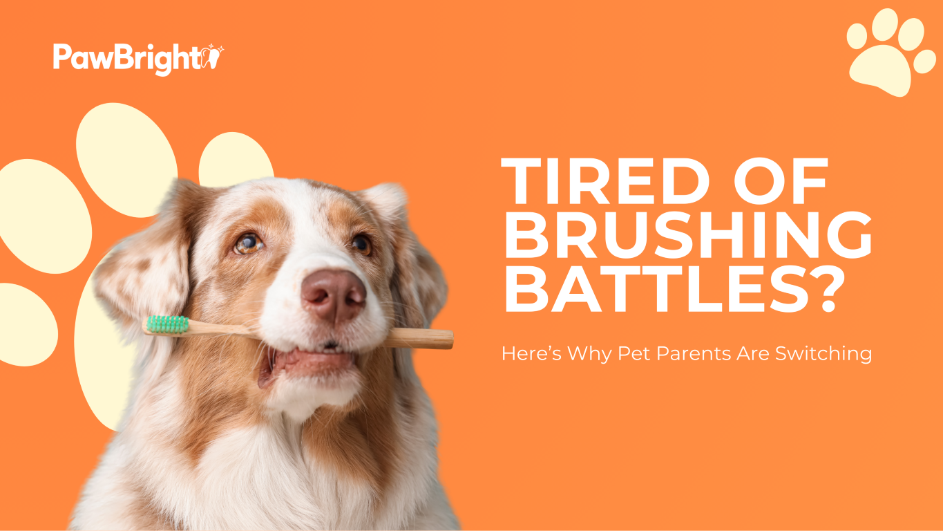 Why Thousands of Pet Parents Are Switching to Easy, Daily Dental Care