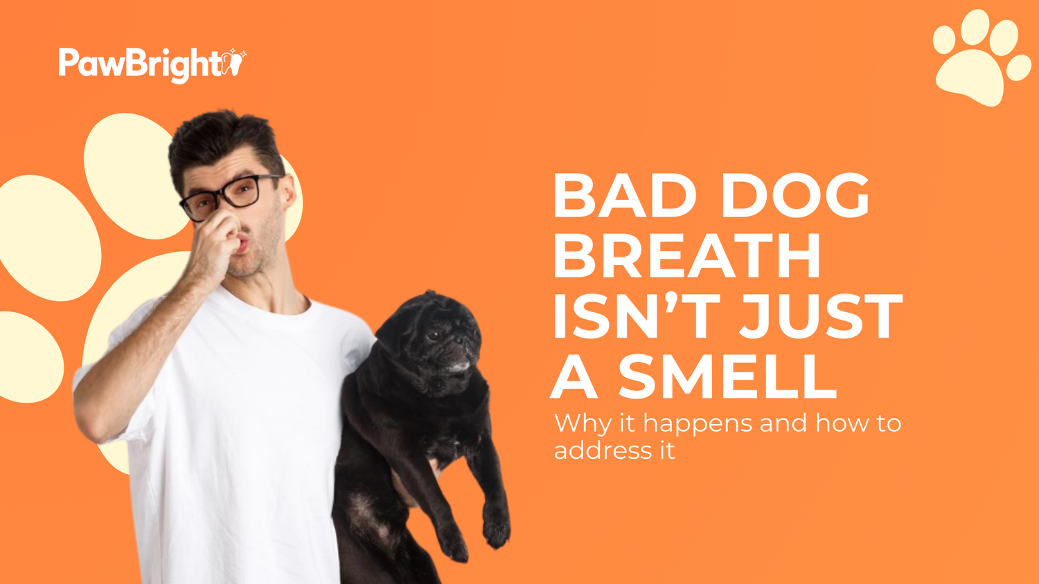 Is Dog Bad Breath Normal? What It Really Means