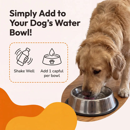 PawBright™ Bromelain+