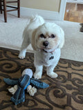 White dog