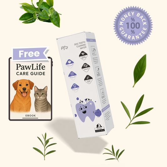 PawLife™ Doggy Fountain