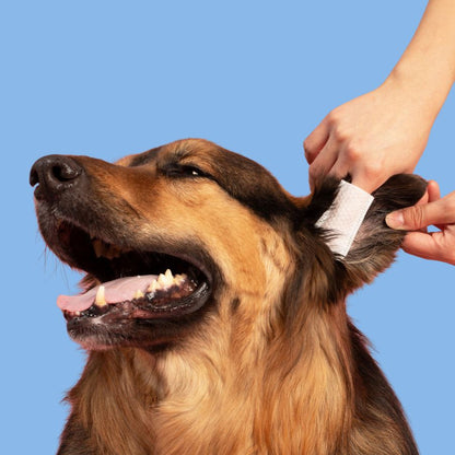 PawLife™ EarCleans