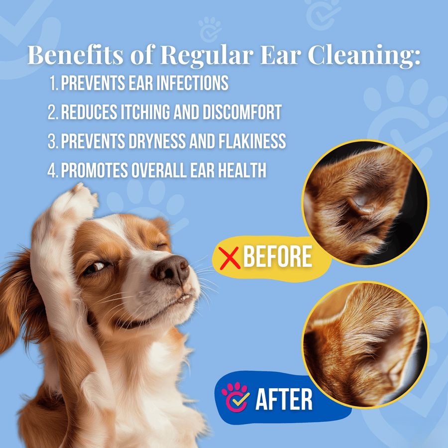 PawLife™ EarCleans