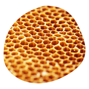 Propolis