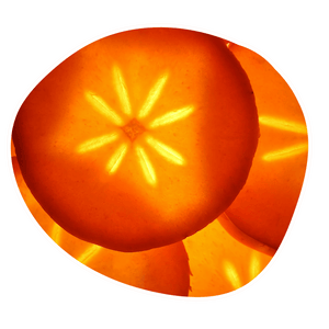 Persimmon Tannins