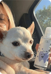 Woman holding a dog and a bottle of PawBright Dental Plus inside a vehicle.