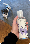 Person holding a bottle of PawBright Dental Plus with a small dog in the background.
