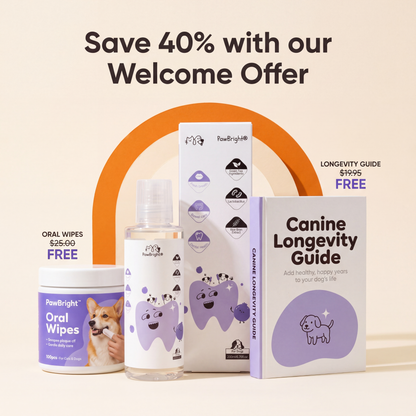 PawBright™ Dental+ Health Bundle