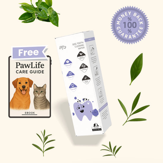 PawBright™ Dental+