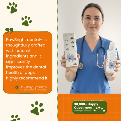 PawBright™ Dental+