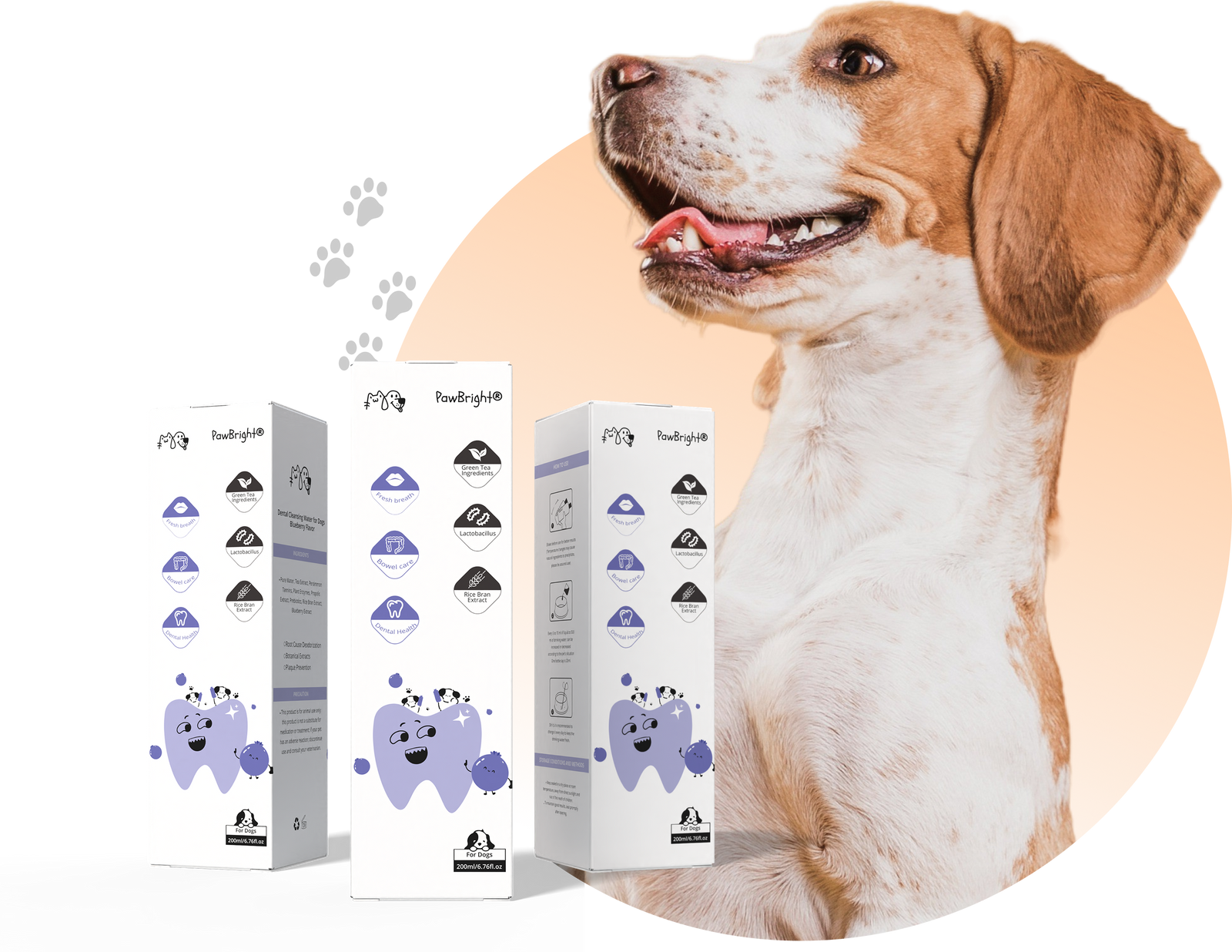 Dog with dental care product boxes on a white background